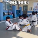 서종태권도장 이미지