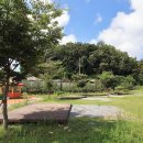 팝콘이네 이미지