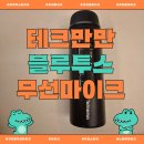 가족동요부르기한마당 | 강의용마이크 대신 아이와 함께 쓰는 테크만만 블루투스 무선마이크 후기