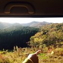 아리숲펜션 이미지