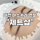4621 | [대전 포인트 연장] "제트샵"에서 마스카라 연장 대만족 리얼 후기!