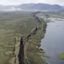 만병통치 이미지