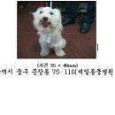 유천지구대 이미지