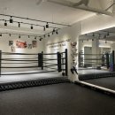 소울복싱 이미지