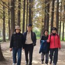 하얀물안개 | 억새꽃 하얀 숲길을 걸으며