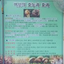 가덕어린이집 | 청주가덕맛집 가을에 더 맛있는 찌개맛집 방문후기