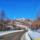 만항할매민박 이미지