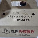 모현카레통닭