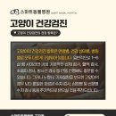 중곡동물병원 이미지