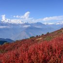 네팔, 고사인쿤드와 랑탕을 트래킹하면서 - 2일차/photo by Bluegull 이미지