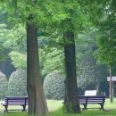 초록풍경 이미지