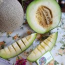 조미영농장 이미지