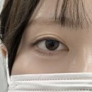 이동 | [공지] 안산이동속눈썹펌 옆모습까지 예쁜 C컬 속눈썹펌 후기