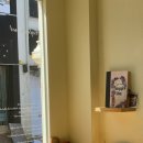 소렐(Sorrel) 이미지