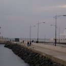 트로이온 이미지