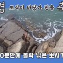 구봉낚시마트 이미지