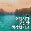 15년 차 비행) 참 좋은 여행사 3박 4일 베트남 하노이...글 주의 1일차 /시부모님 돈 시부모님산/찐 후기