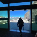 37 | 스위스 융프라우 37번 하이킹 코스 후기 아이거글래처에서 클라이네샤이덱까지 걷기로 기록 알아보기