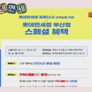 부관훼리서비스