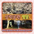 산들공원(관리사무소) 화장실 | 부산 벚꽃 명소 삼락공원 벚꽃 낙동제방 벚꽃길(feat.주차)