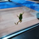 사과하나펜션 이미지