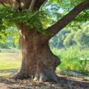용성3리 경로당 이미지