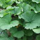 다목농장 이미지