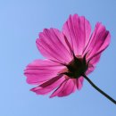 (유)하이얀 이미지