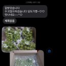 전임농장 | 싱싱한 샤인머스켓 후기 ㅣ신선한 고당도 포도 직거래