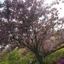 아주체육공원 이미지