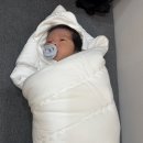 아트위드유 | [D+18]내돈내산 위드유스튜디오 수성점 뉴본촬영 후기