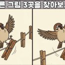 다른 그림 찾기 이미지
