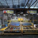 두만강호 이미지