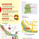 제15회 청송사과축제 이미지