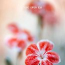 강북로 네이버블로그