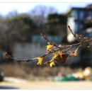 양지 뜰 펜션 이미지