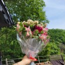 밤까시목장 | [경기도 광주]라까시나이태리 - 한적한 차박/차크닉으로 굿