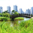 한강신도시호수공원 이미지