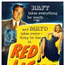 레드라이트 이미지