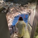 렉스포켓클럽 이미지