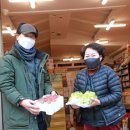 봉화청과