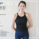 자이로토닉에코 네이버블로그