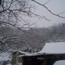 나무네농장 이미지