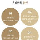 제일메디컬의원 | 유방통증으로 치유메디컬의원 내원 후기 유방초음파 갑상선초음파