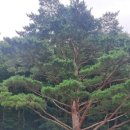 쌍용자동차서비스프라자양양코너 | 차량 엔진오일 교체