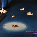 플란다스의 개 이미지