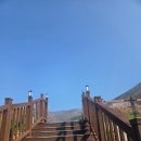 동구리 호수공원 | 화순 동구리 호수공원 개나리와 벚꽃 예뻐도 너무 예쁘다 오늘 다녀온 후기 / 주말 체험 행사