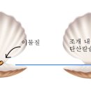 진주 - 여수시 시청동3길 12-16 | 진주