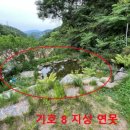 새술막길 네이버블로그