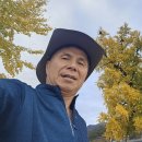 전라병영성 하멜기념관 이미지